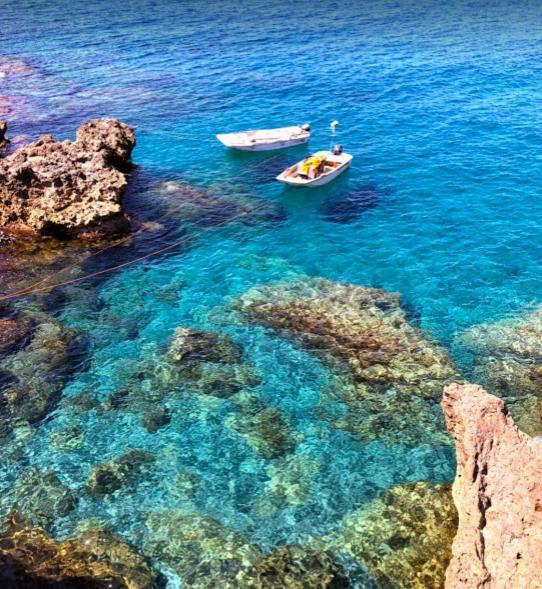 Caletta Del Porto Bed & Breakfast Диаманте Екстериор снимка